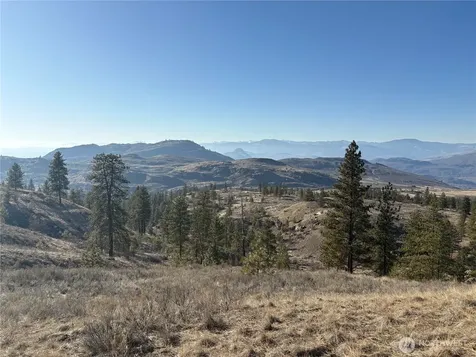 1 Tbd Valley View Drive Oroville WA 98844