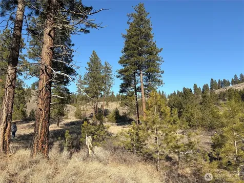 1 Tbd Valley View Drive Oroville WA 98844