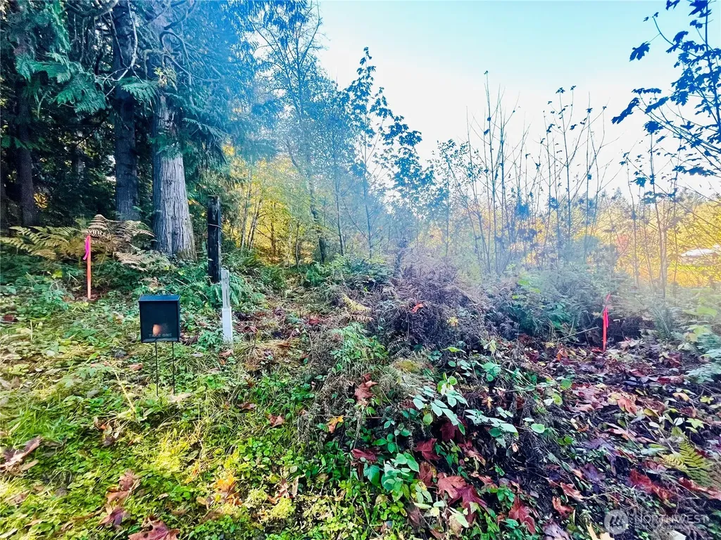 0 Valley Ridge Road Chehalis WA 98532