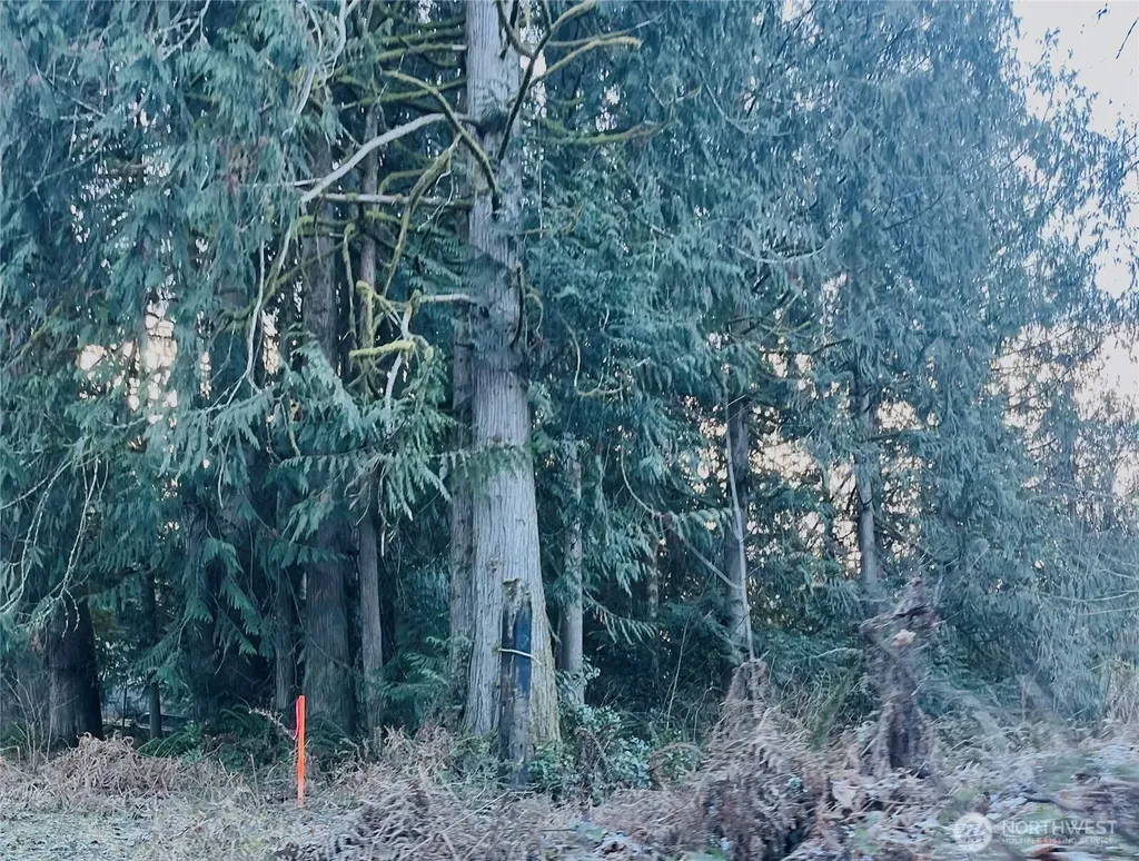 0 Valley Ridge Road Chehalis WA 98532