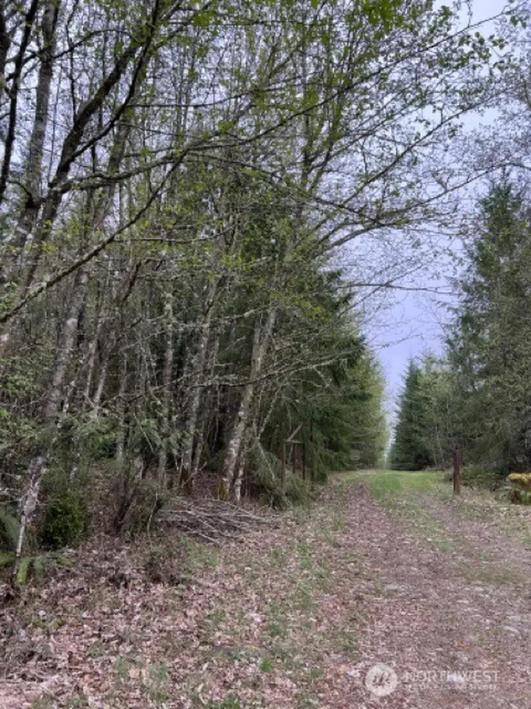 0 164th Street E Buckley WA 98321