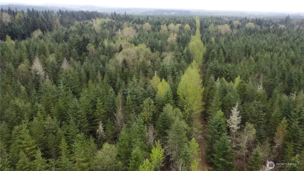 0 164th Street E Buckley WA 98321