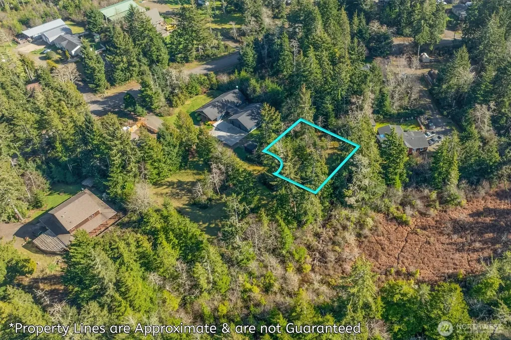 21333 Birch Place Ocean Park WA 98640