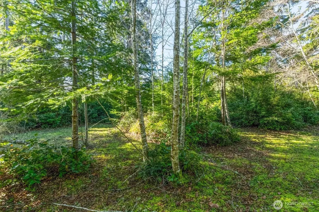 21333 Birch Place Ocean Park WA 98640