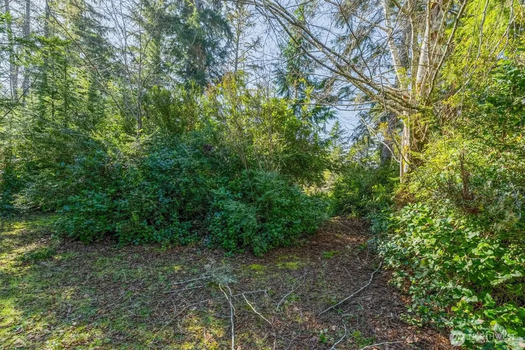 21333 Birch Place Ocean Park WA 98640