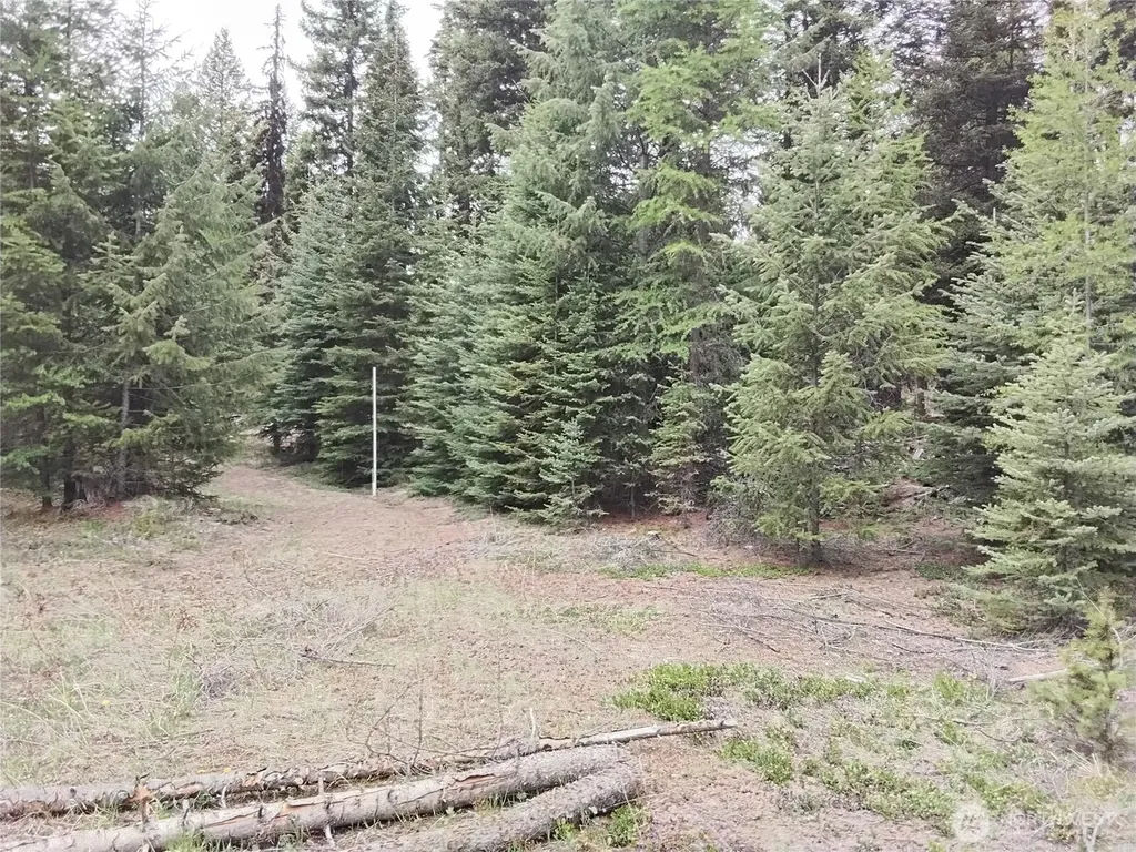 88 Cow Camp Road Oroville WA 98844