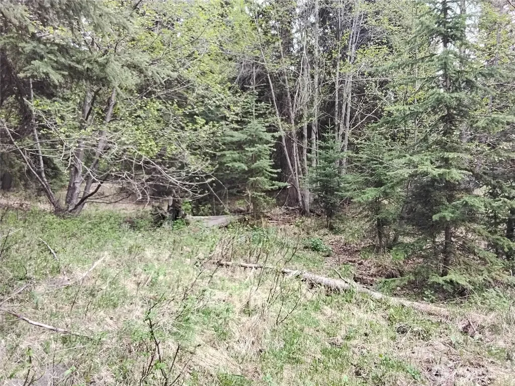 88 Cow Camp Road Oroville WA 98844