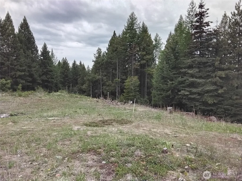 88 Cow Camp Road Oroville WA 98844
