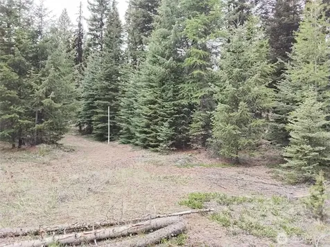88 Cow Camp Road Oroville WA 98844