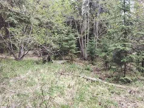 88 Cow Camp Road Oroville WA 98844