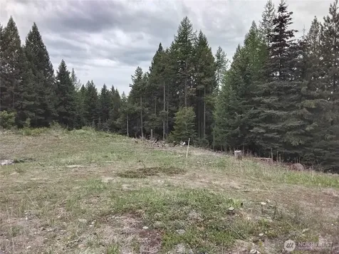 88 Cow Camp Road Oroville WA 98844