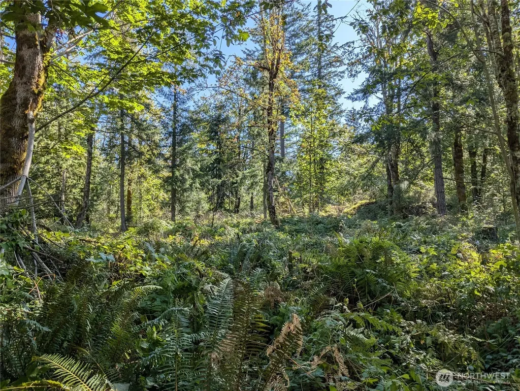 1110 350th Avenue SE Snoqualmie WA 98065