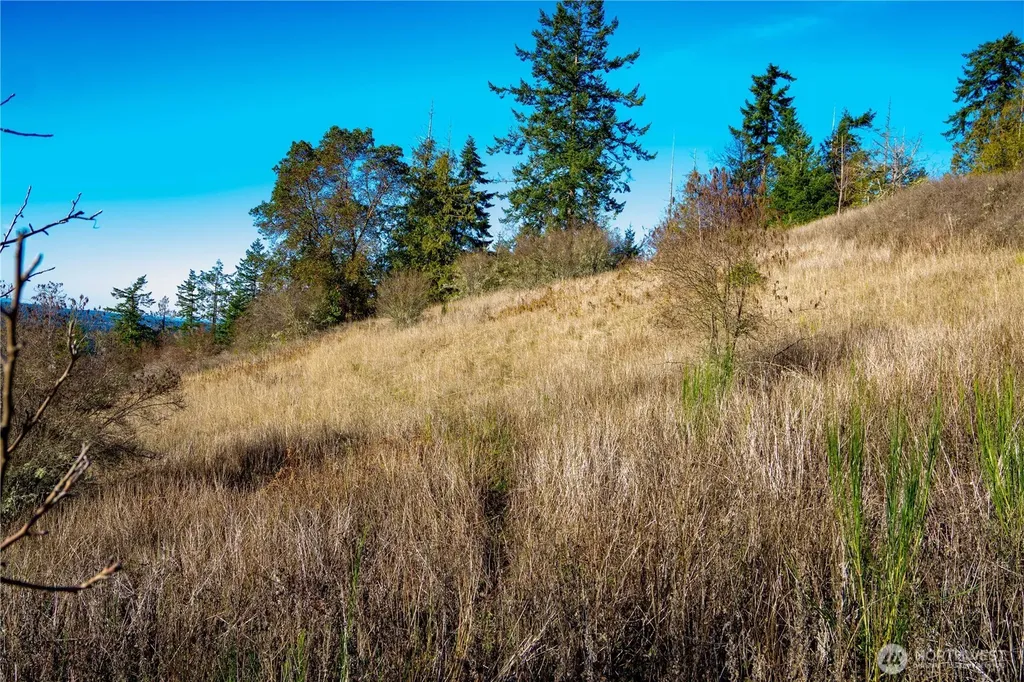 0 Hillside Drive Sequim WA 98382