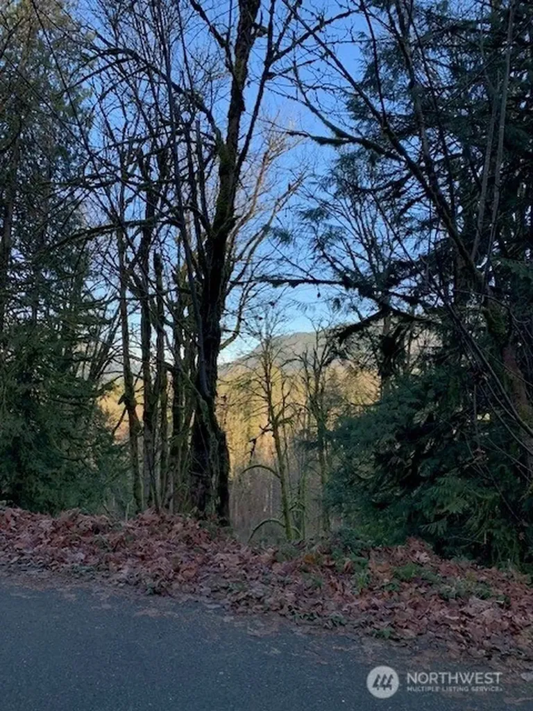 283 SE 146th Street Issaquah WA 98027