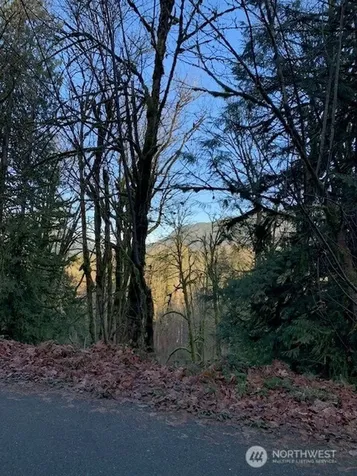 283 SE 146th Street Issaquah WA 98027