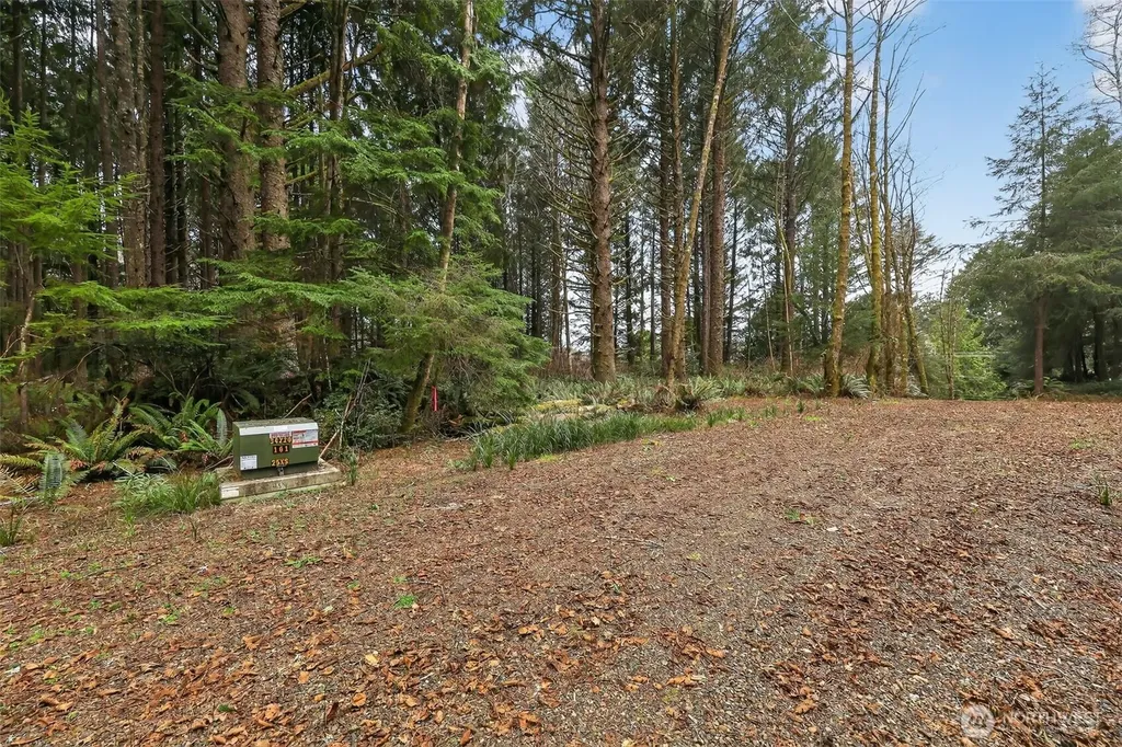2772 State Route 109 Ocean City WA 98569
