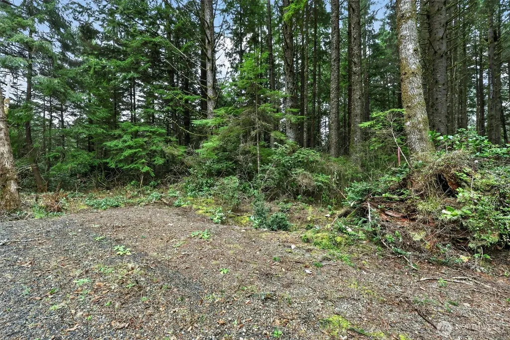 2772 State Route 109 Ocean City WA 98569