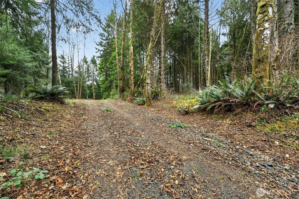 2772 State Route 109 Ocean City WA 98569