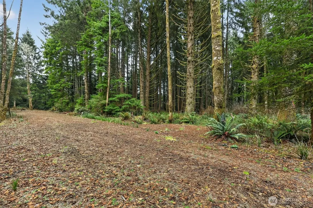 2772 State Route 109 Ocean City WA 98569
