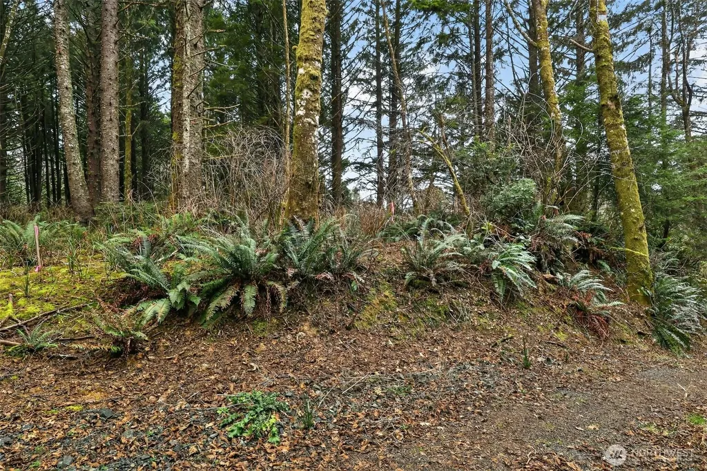 2772 State Route 109 Ocean City WA 98569