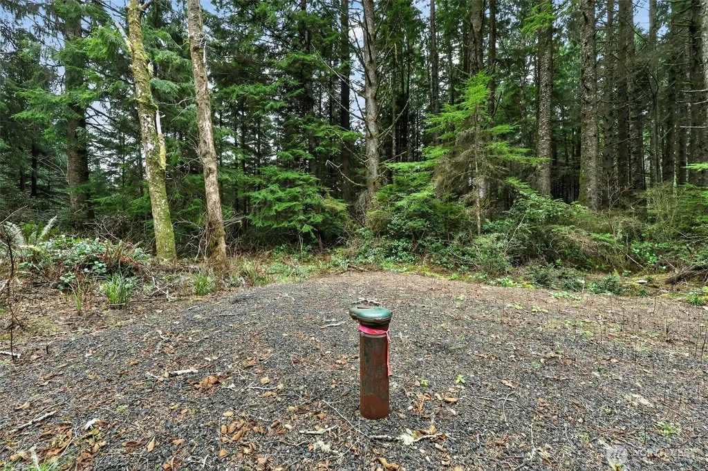 2772 State Route 109 Ocean City WA 98569