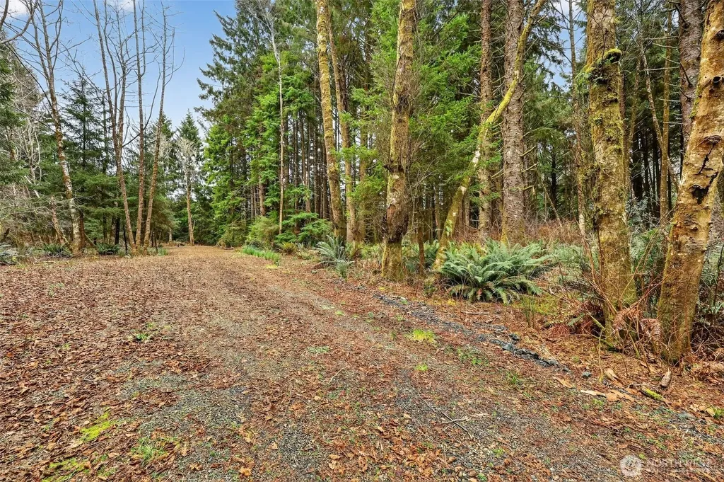 2772 State Route 109 Ocean City WA 98569