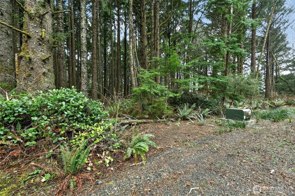 2772 State Route 109 Ocean City WA 98569