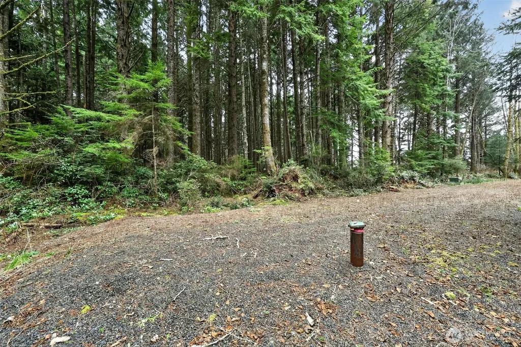 2772 State Route 109 Ocean City WA 98569