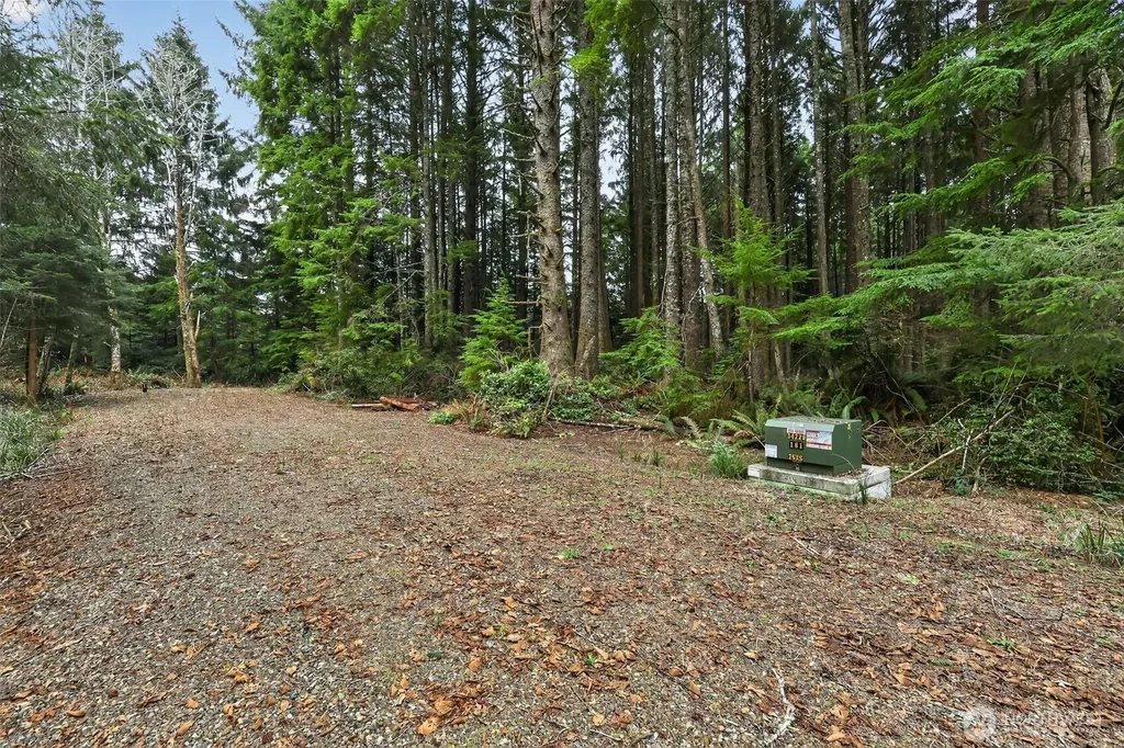 2772 State Route 109 Ocean City WA 98569