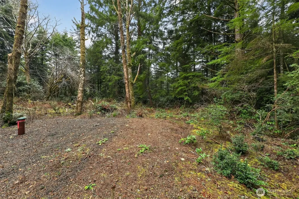 2772 State Route 109 Ocean City WA 98569