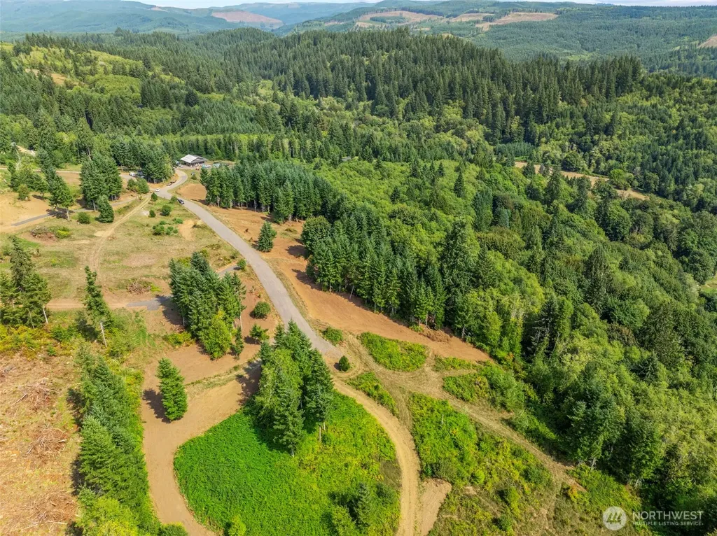 287 Bison Run Road Longview WA 98632