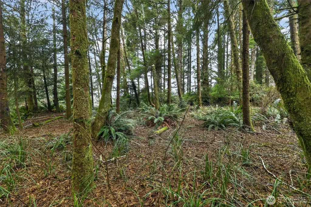 2776 State Route 109 Ocean City WA 98569