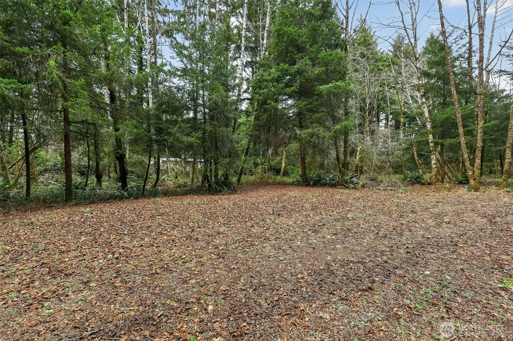 2776 State Route 109 Ocean City WA 98569