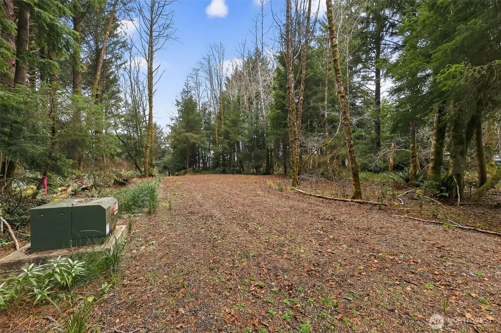 2776 State Route 109 Ocean City WA 98569