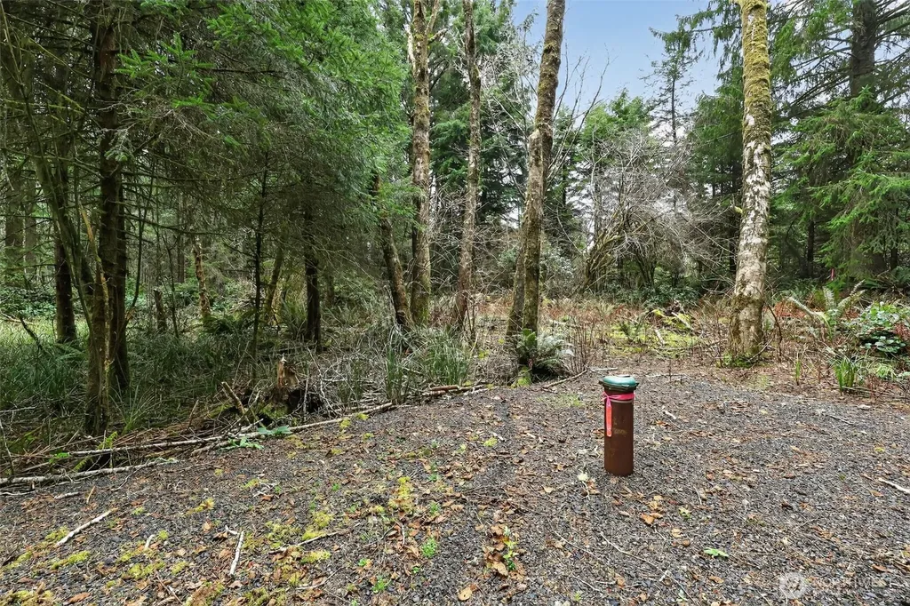 2776 State Route 109 Ocean City WA 98569