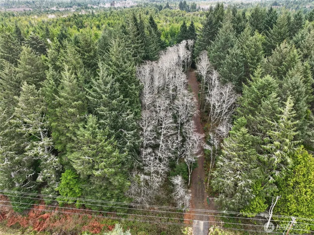 2776 State Route 109 Ocean City WA 98569