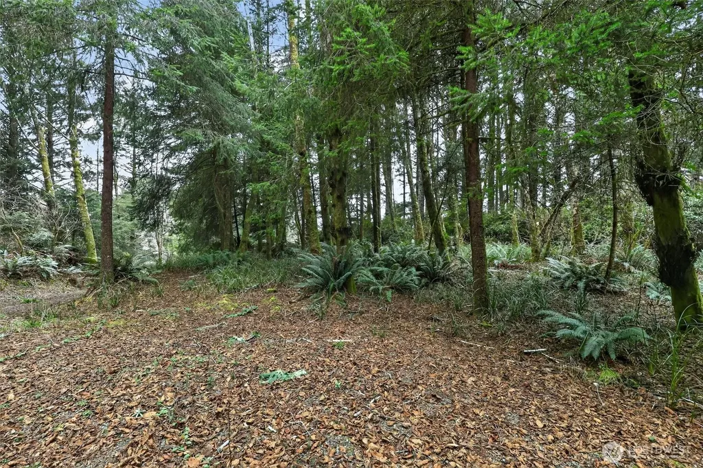 2776 State Route 109 Ocean City WA 98569