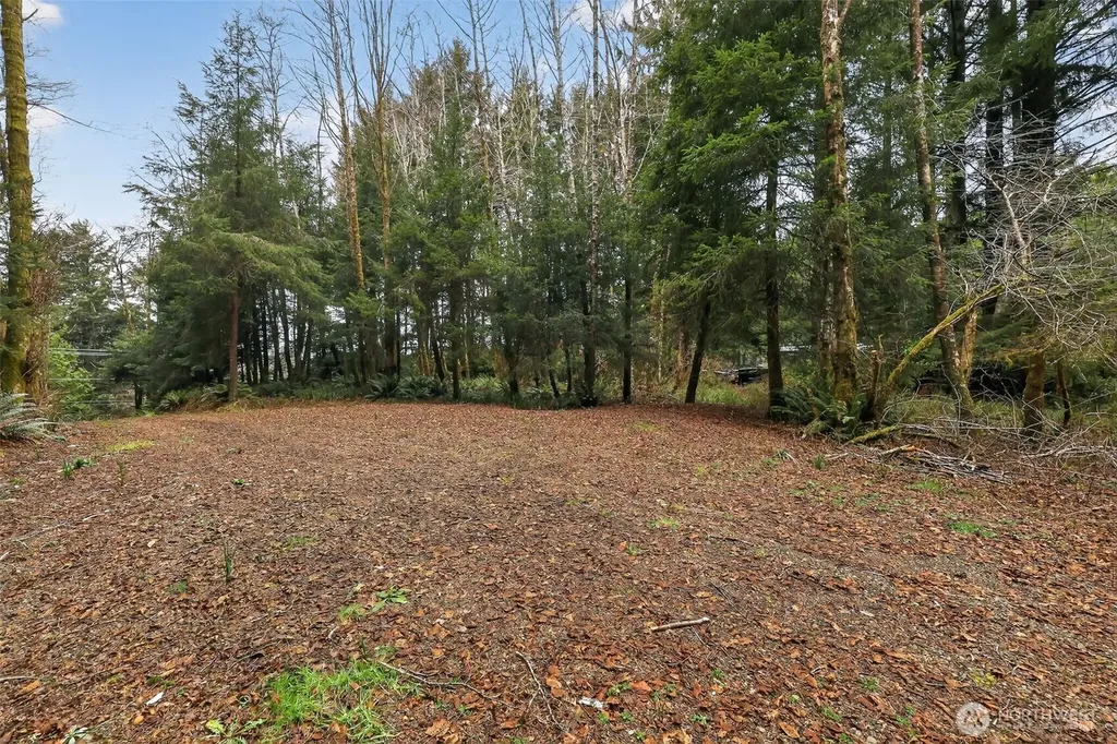 2776 State Route 109 Ocean City WA 98569