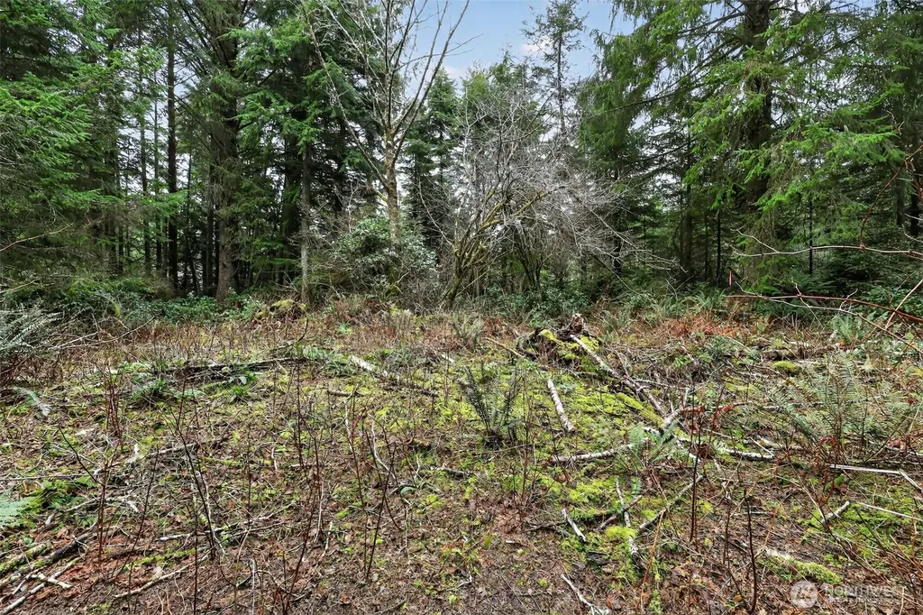 2776 State Route 109 Ocean City WA 98569
