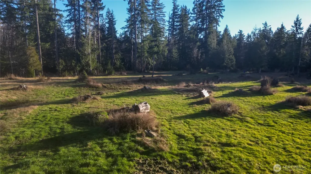 443 Elma Hicklin Rd W Mccleary WA 98557