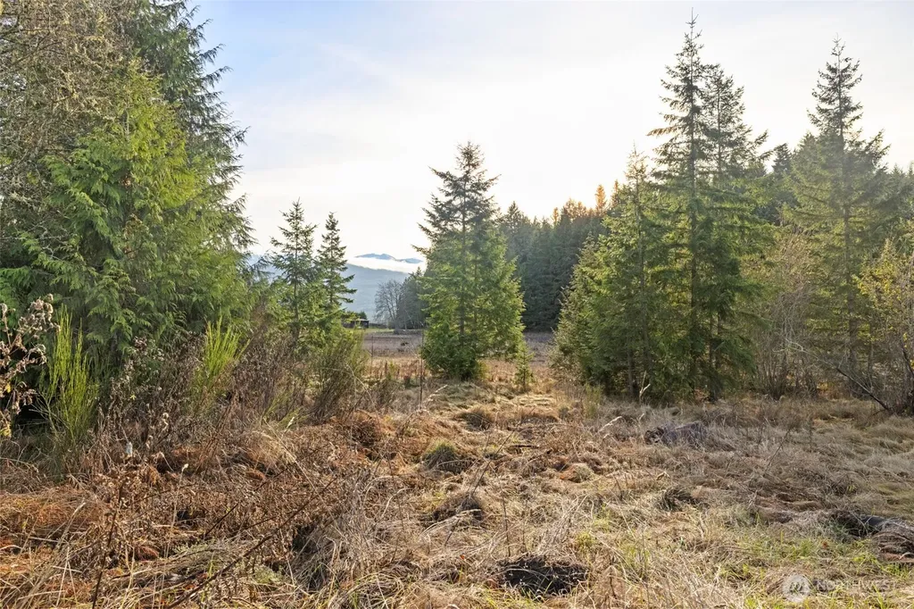 0 Lost Mountain Road Sequim WA 98382