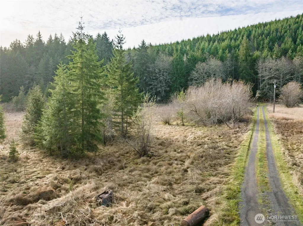 0 Lost Mountain Road Sequim WA 98382