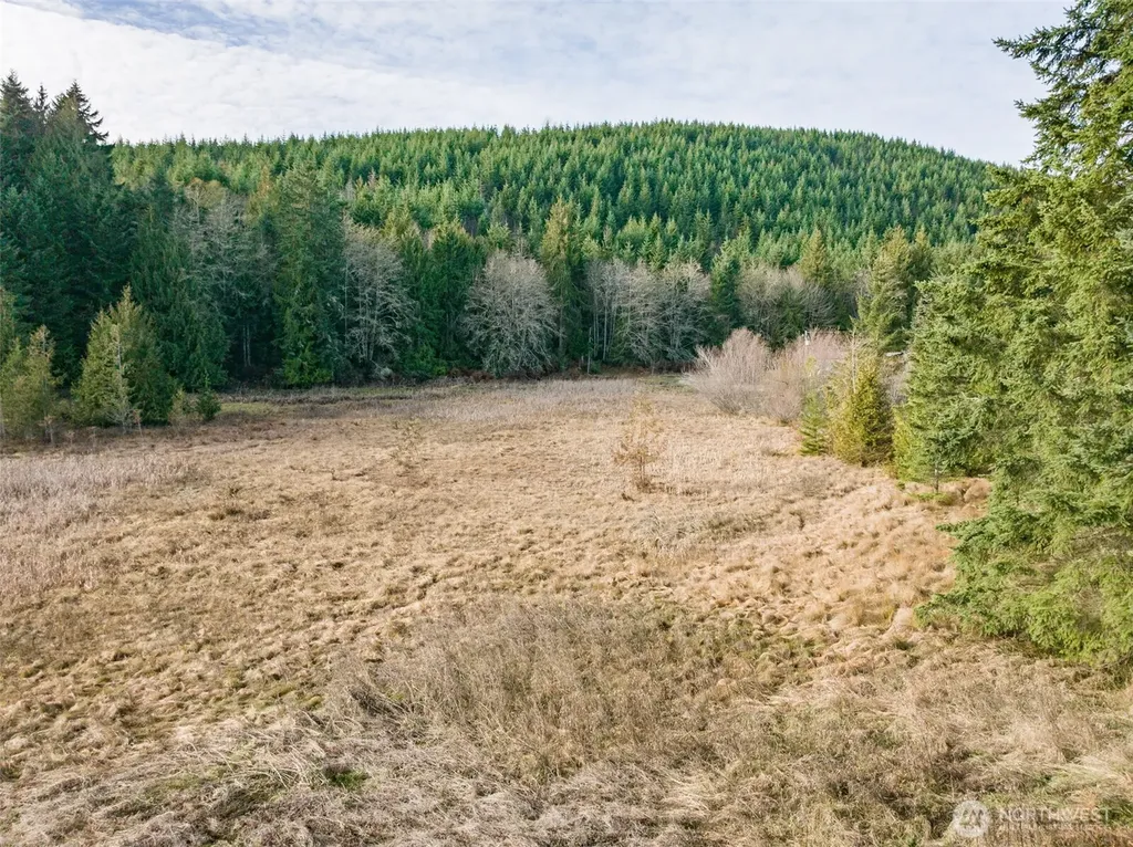 0 Lost Mountain Road Sequim WA 98382