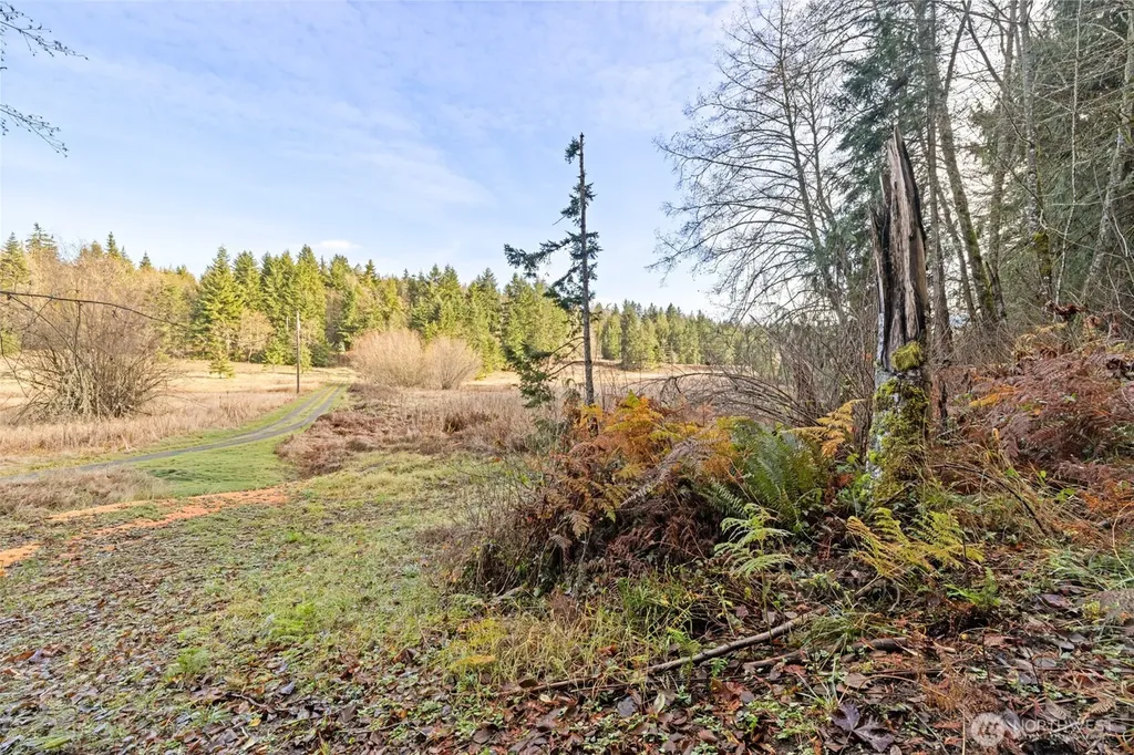 0 Lost Mountain Road Sequim WA 98382