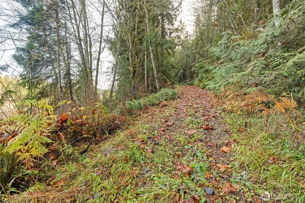 0 Lost Mountain Road Sequim WA 98382