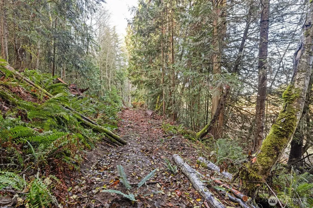 0 Lost Mountain Road Sequim WA 98382