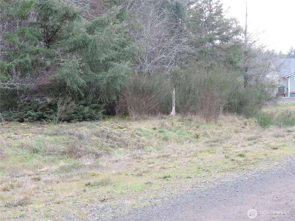 4 Cottonwood Grapeview WA 98546