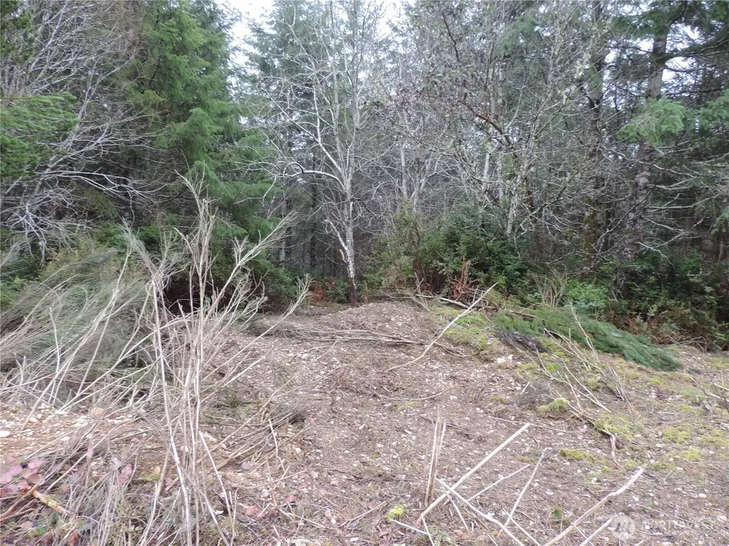 4 Cottonwood Grapeview WA 98546