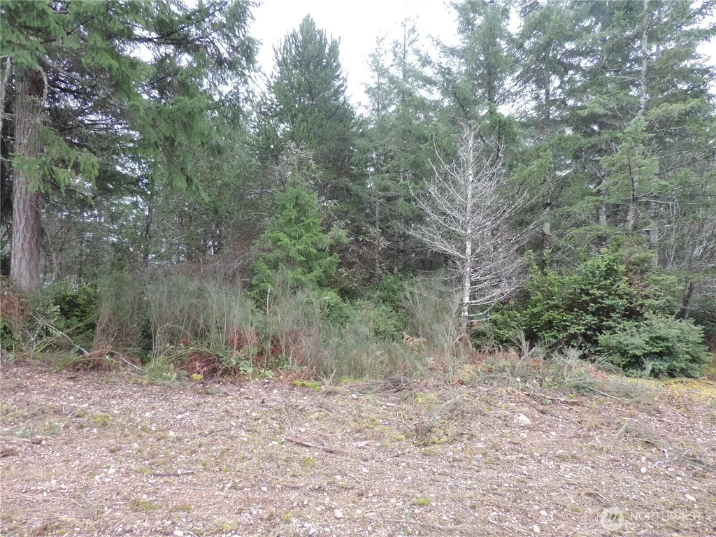 4 Cottonwood Grapeview WA 98546