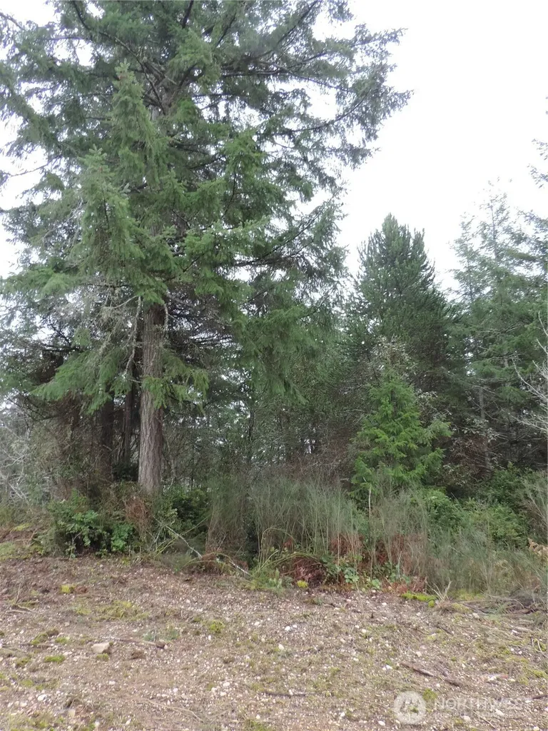 4 Cottonwood Grapeview WA 98546